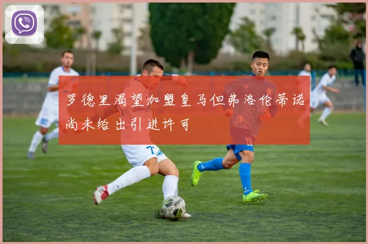 罗德里渴望加盟皇马但弗洛伦蒂诺尚未给出引进许可