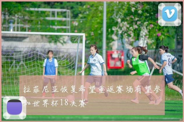 拉菲尼亚恢复希望重返赛场有望参加世界杯18决赛